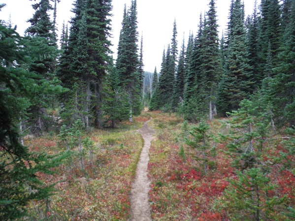 Tumac Mountain Trail