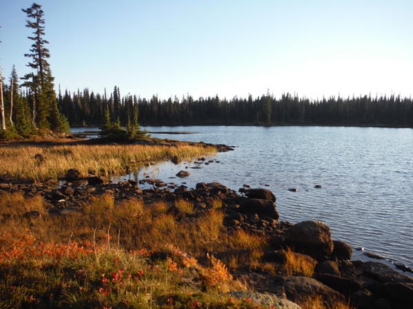 Twin Sisters Lake