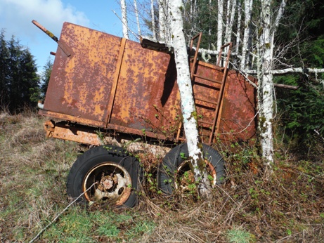 logging