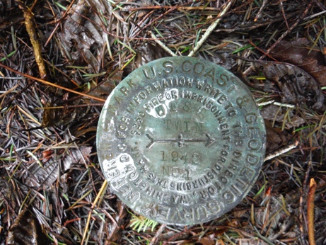 West Twin Benchmark