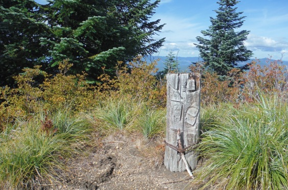 vanson peak