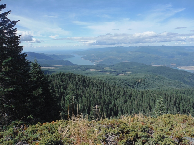 Riffe Lake 