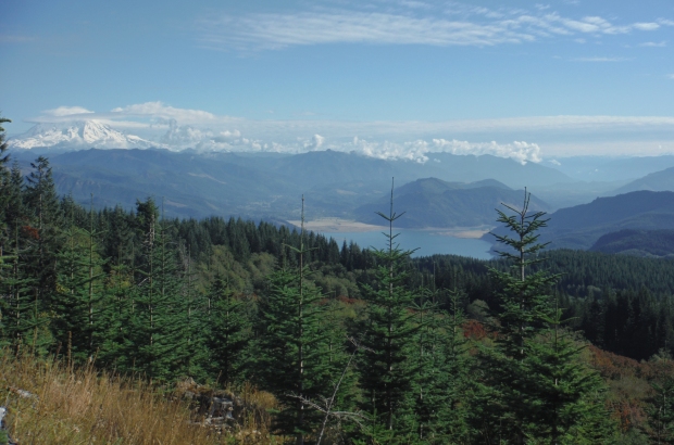 Riffe Lake 