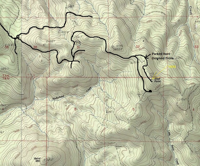 wolf point map