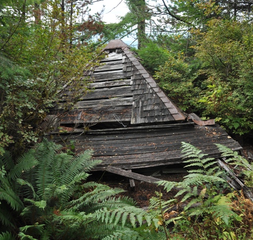 wolf point lookout