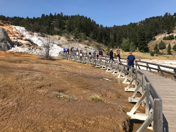 yellowstone