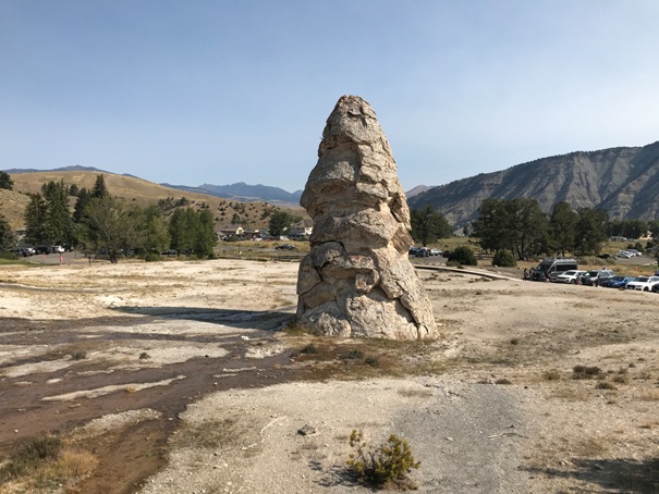 Liberty Cap