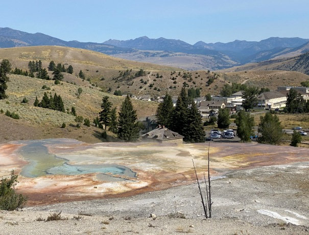 Mammoth Hot Springs 