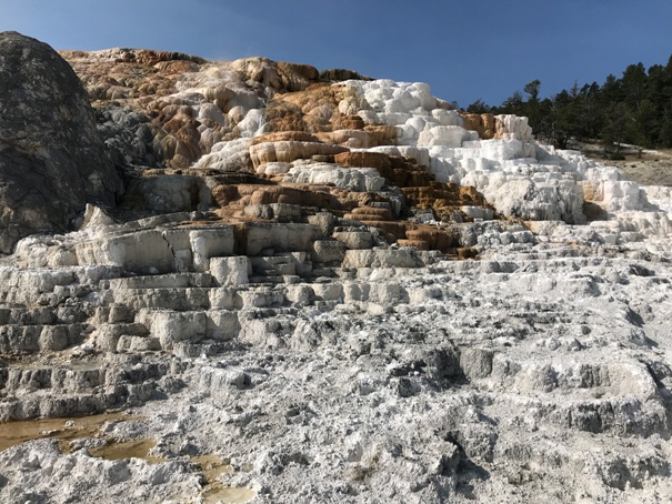 Mammoth Hot Springs 