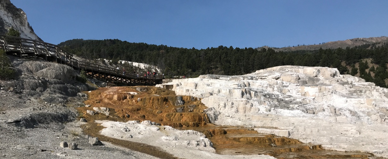 mammoth hot springs