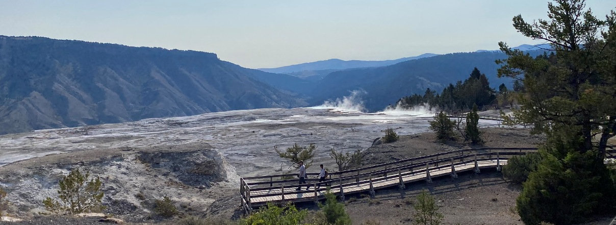 mammoth hot springs