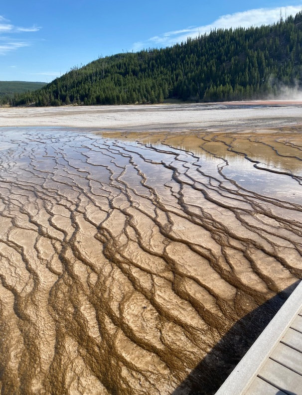 yellowstone