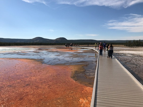 Grand Prismatic Hot Spring