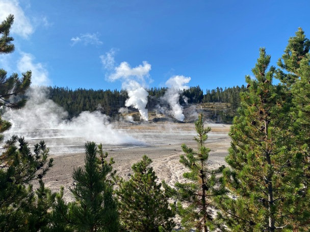 norris geyser basin