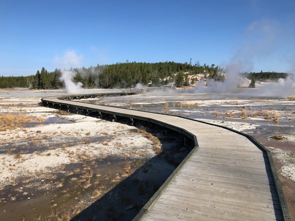 norris geyser basin