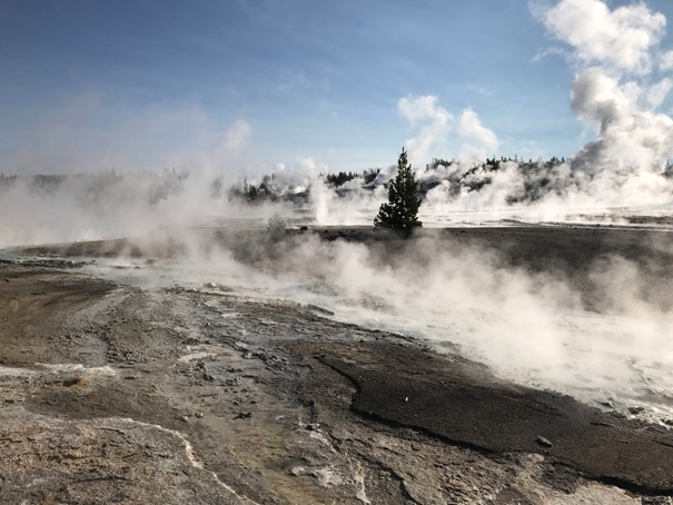 yellowstone