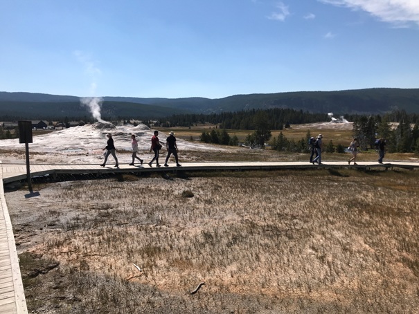 Upper Geyser Basin