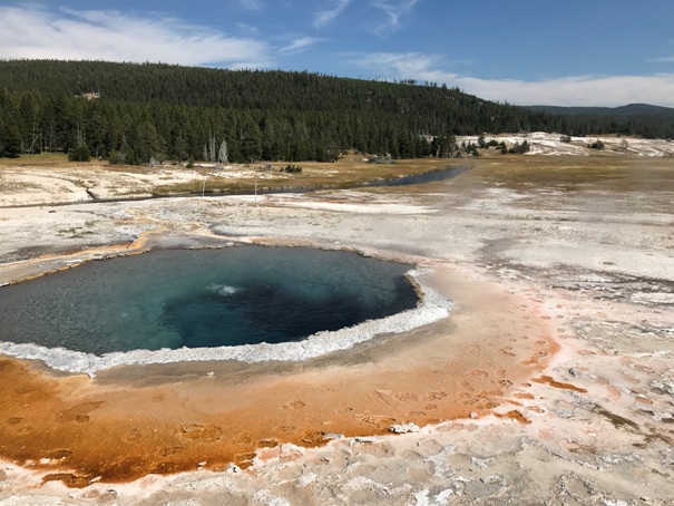 Crested Pool 