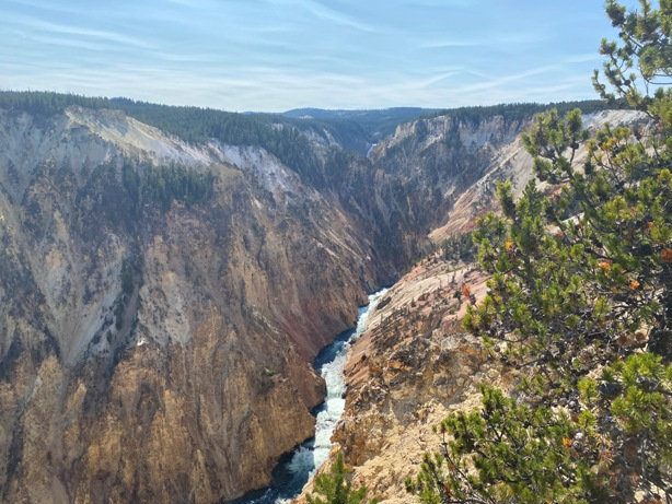 grand canyon of yellowstone