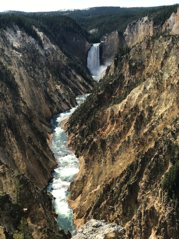 Yellowstone Falls