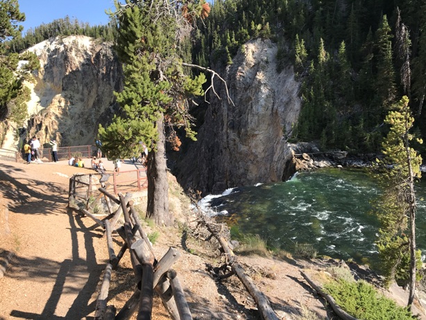 Yellowstone Falls