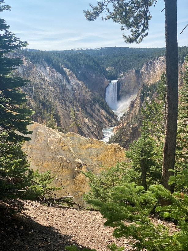 Yellowstone Falls