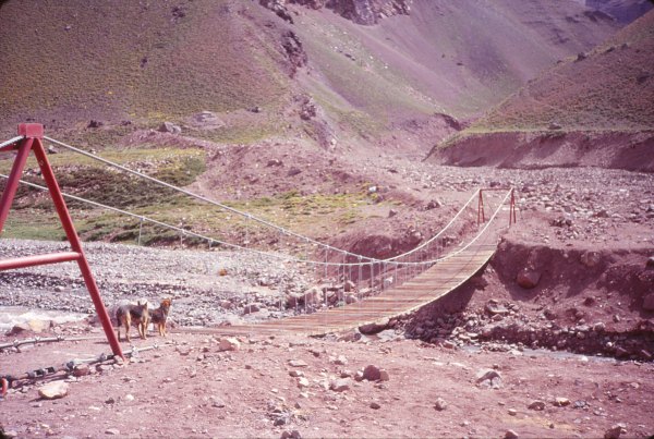 Puente del Inca 