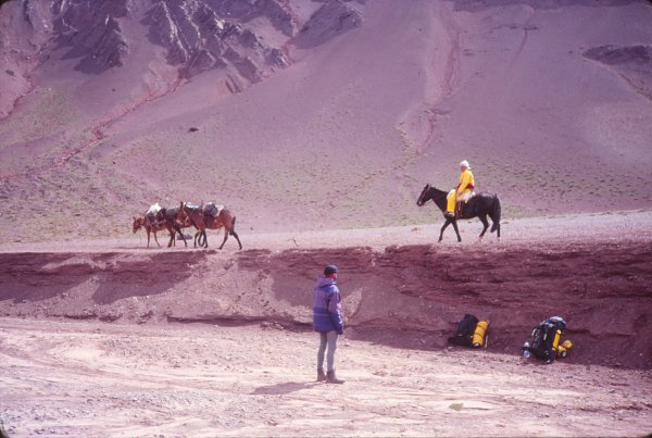 Puente del Inca 