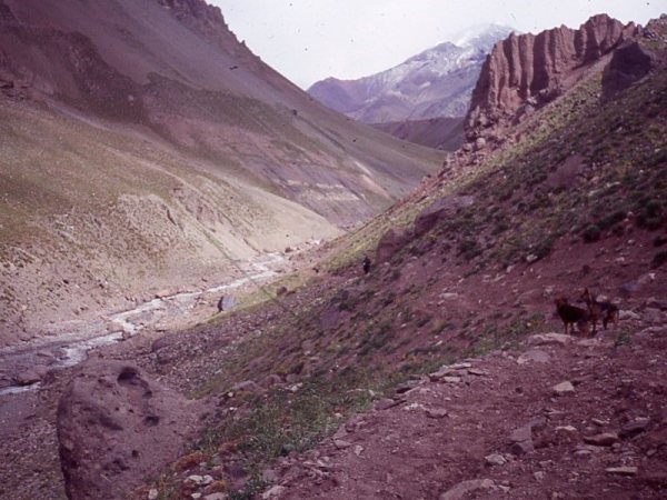 Puente del Inca 