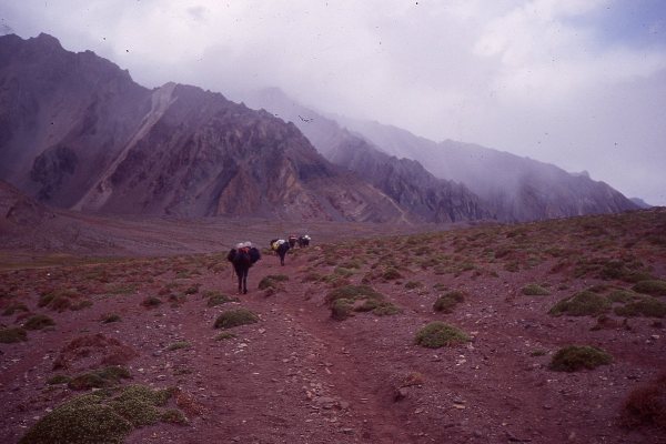 Horcones Valley 