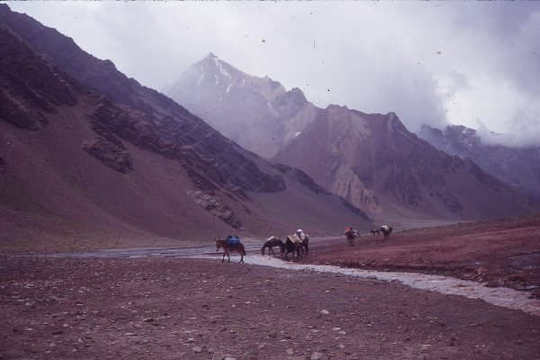 Horcones Valley 