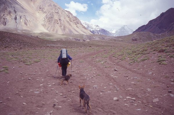 Horcones Valley 