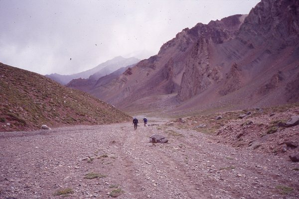 Horcones Valley 