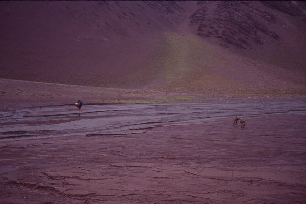 Horcones Valley 