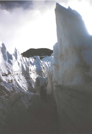 penitentes 