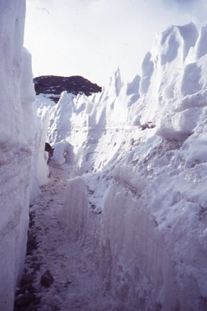 penitentes 