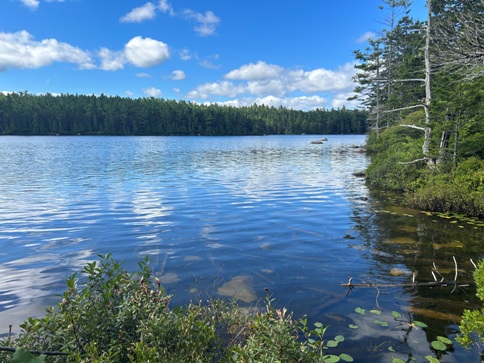 Daicey Pond