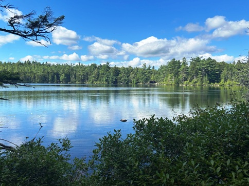 Daicey Pond