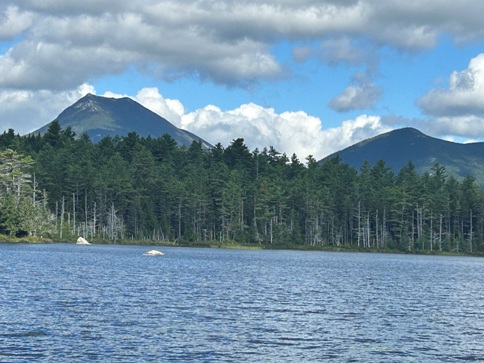 Grassy Pond