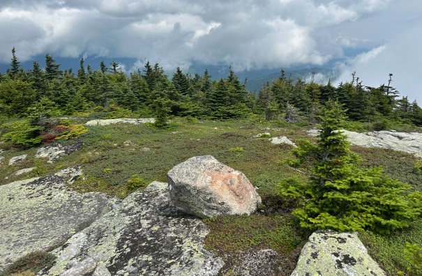 Baldpate Mountain