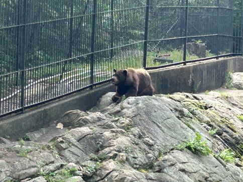 Trailside Museum and Zoo 