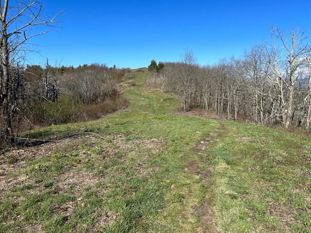 Appalachian Trail 