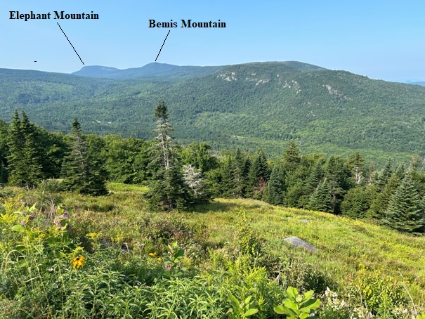 bemis mountain