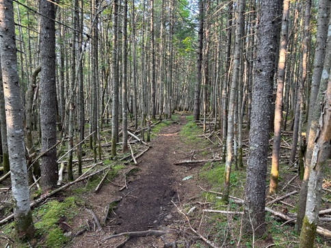 Saddleback Mountain