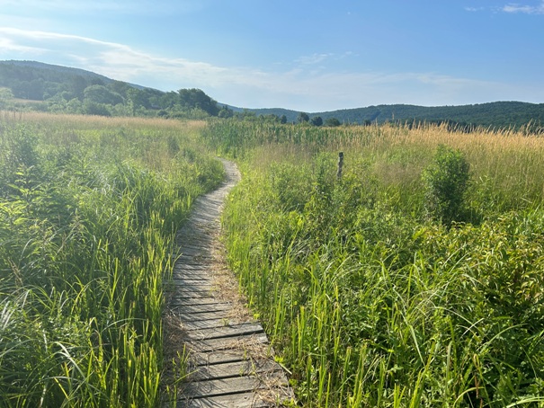 appalachian trail