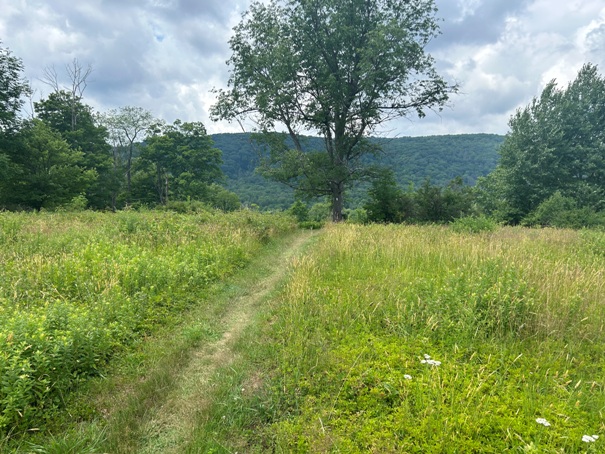 appalachian trail