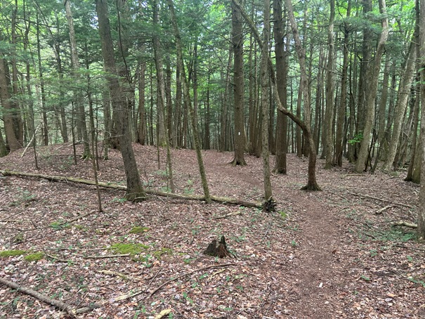 appalachian trail