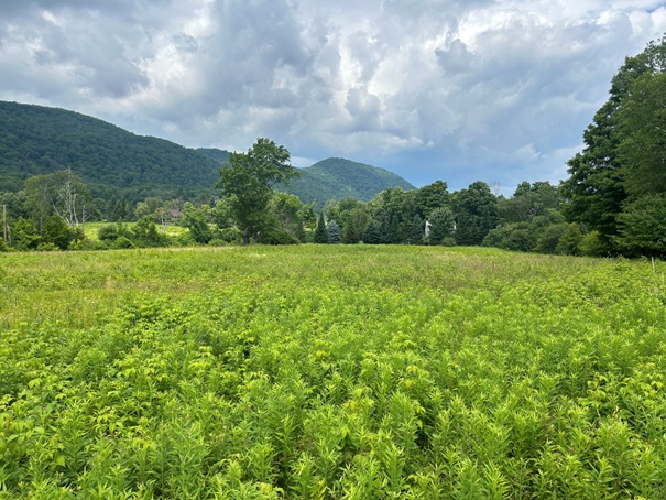 appalachian trail