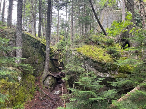 Bigelow Mountain Trail