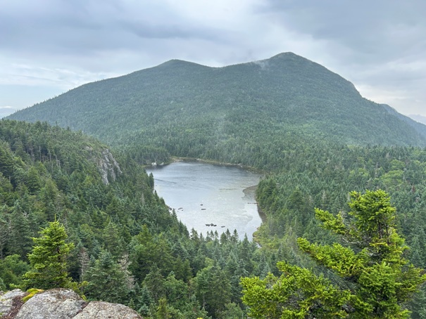 The Horns Pond